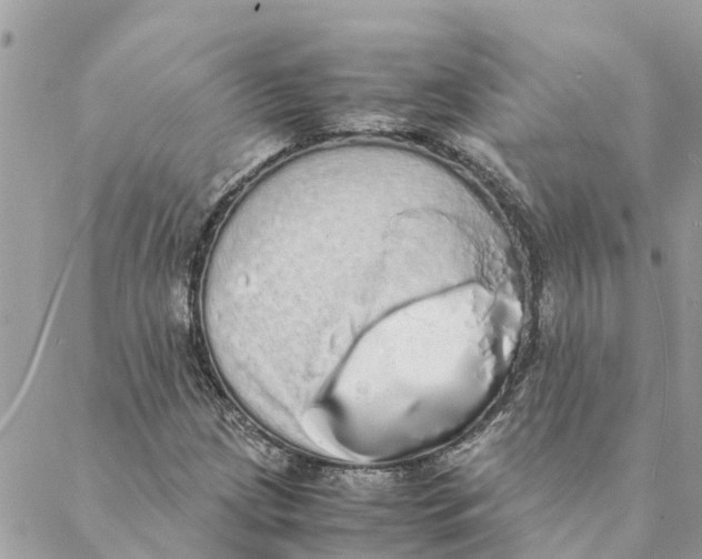 X0000088071209200706011505