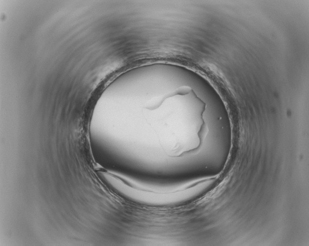 X0000088071210200706011505