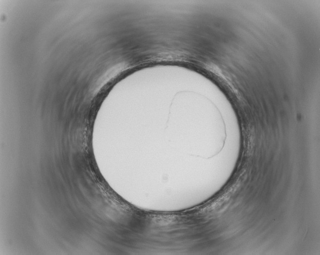 X0000088071211200706011505