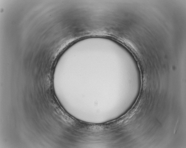 X0000088071212200706011505