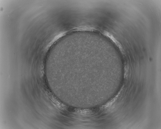 X0000088071213200706011505