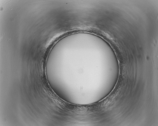 X0000088071214200706011505