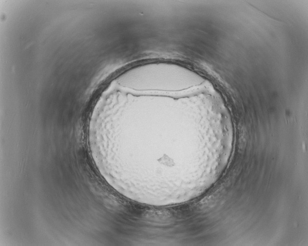 X0000088071215200706011505