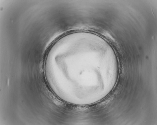 X0000088071216200706011505