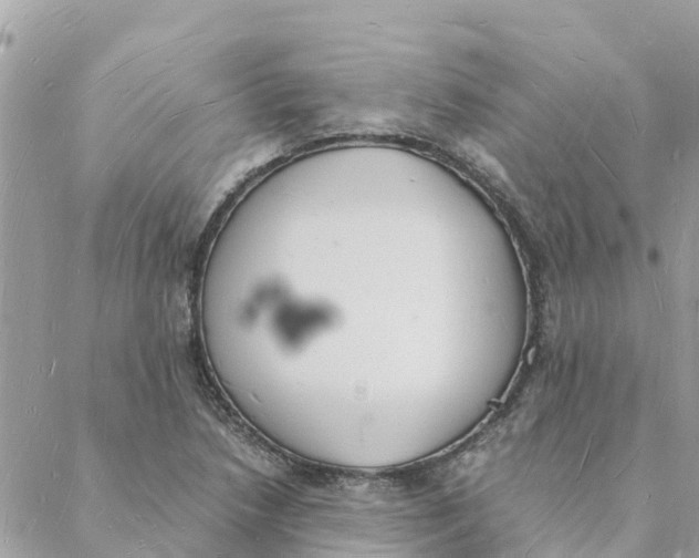 X0000088071218200706011505