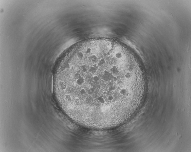 X0000088071219200706011505