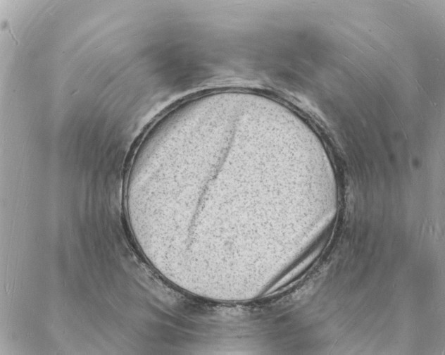 X0000088071220200706011505