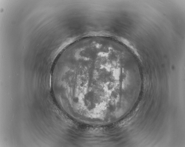 X0000088071221200706011505