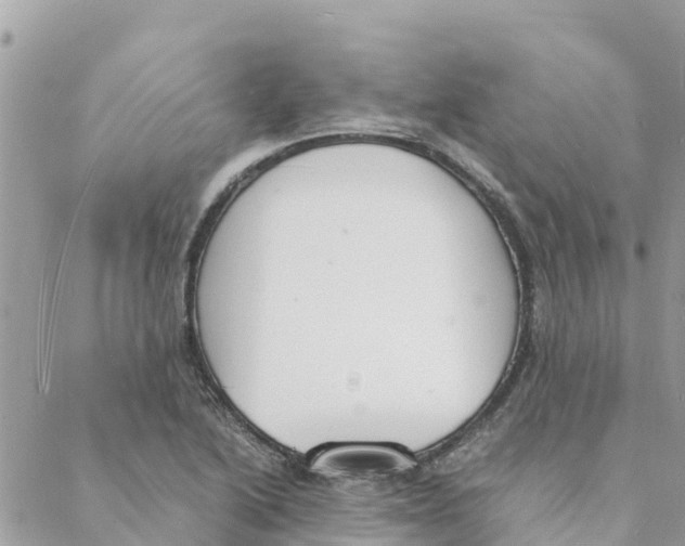 X0000088071222200706011505