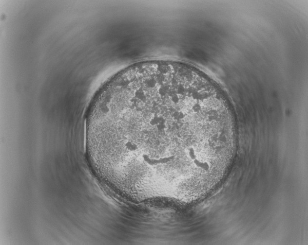 X0000088071223200706011505