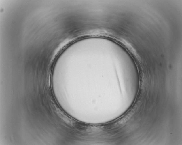 X0000088071224200706011505