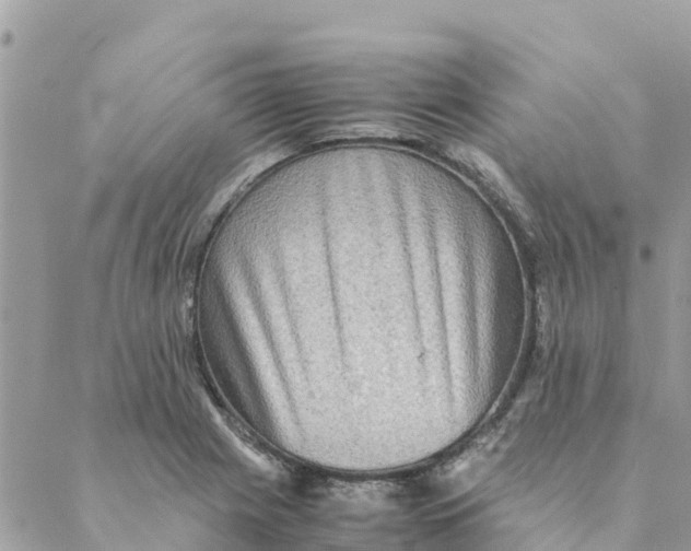 X0000088071225200706011505