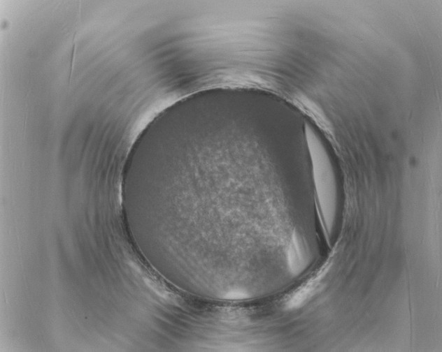 X0000088071226200706011505