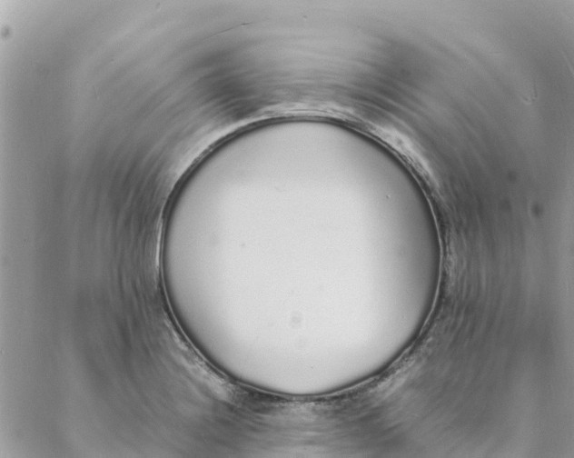 X0000088071228200706011505