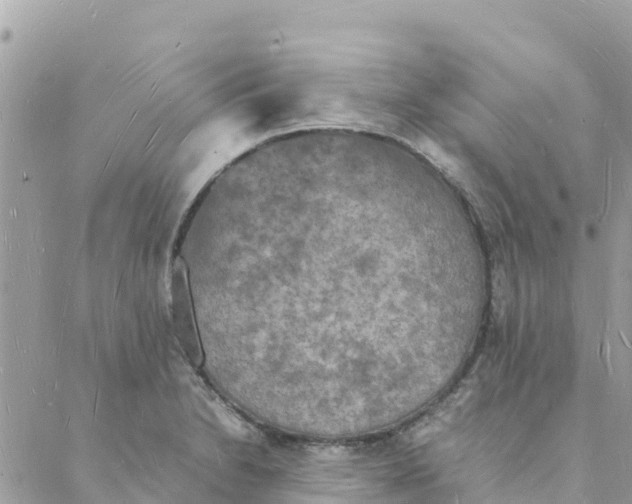 X0000088071230200706011505