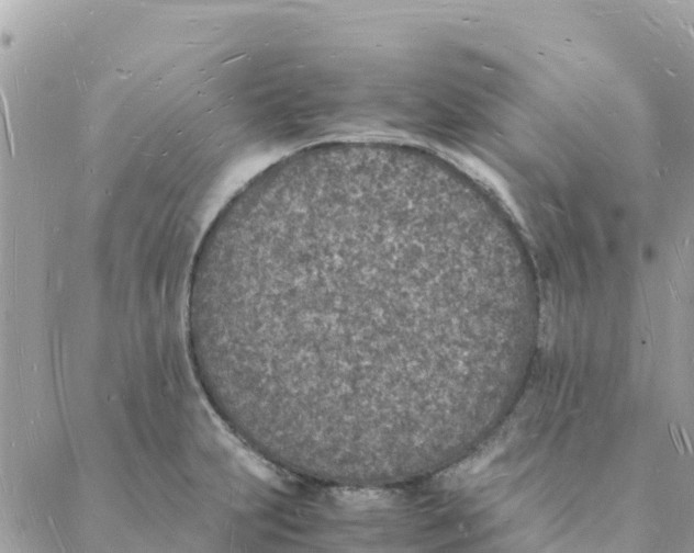 X0000088071231200706011505