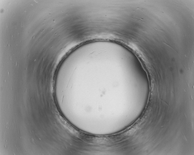 X0000088071232200706011505