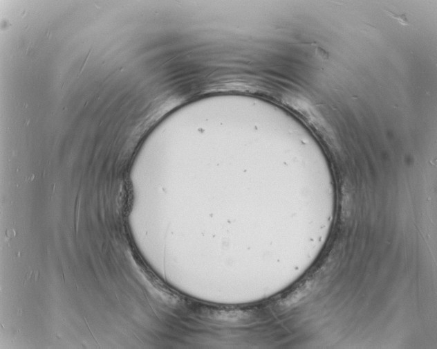 X0000088071233200706011505