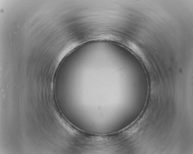 X0000088071234200706011505