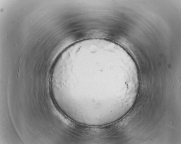 X0000088071235200706011505