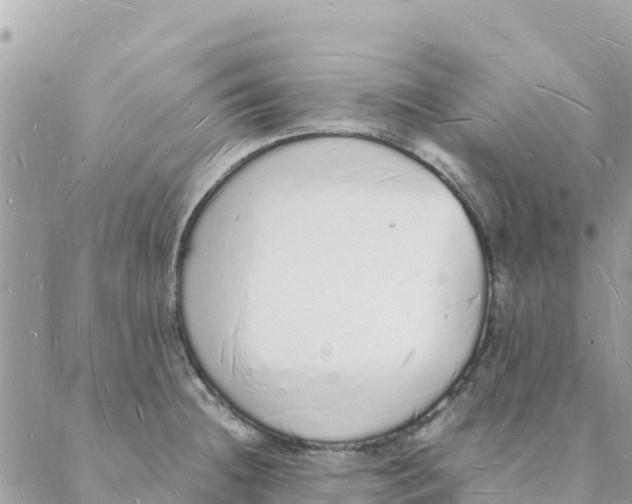 X0000088071236200706011505