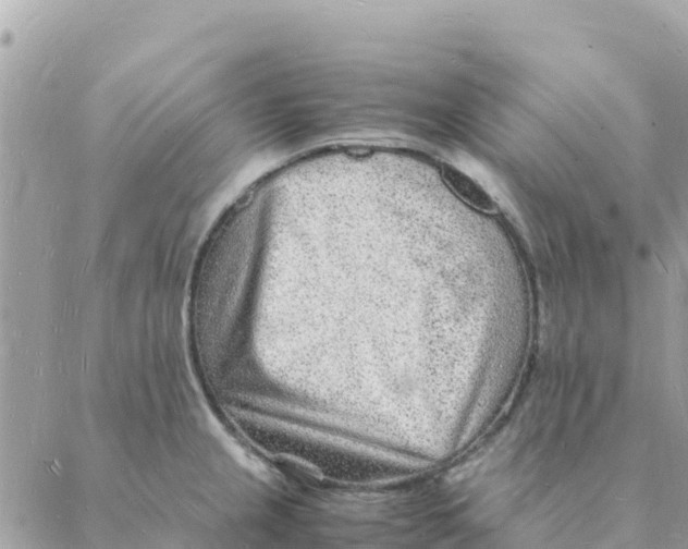 X0000088071237200706011505