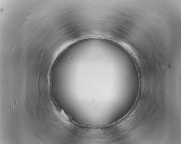 X0000088071238200706011505