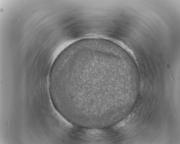 X0000088071239200706011505