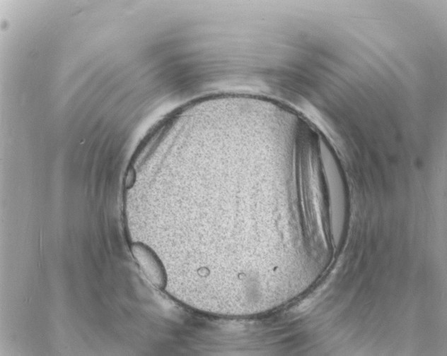 X0000088071240200706011505