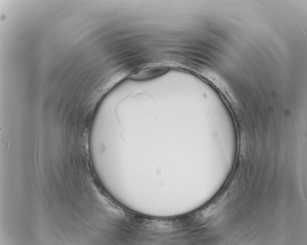 X0000088071241200706011505