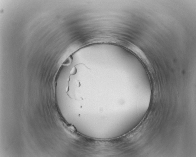 X0000088071242200706011505