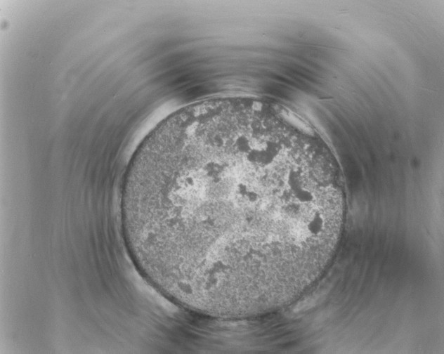 X0000088071243200706011505