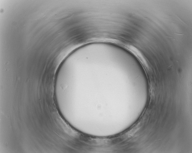 X0000088071244200706011506