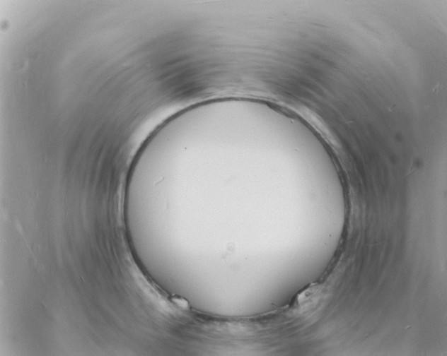 X0000088071246200706011506