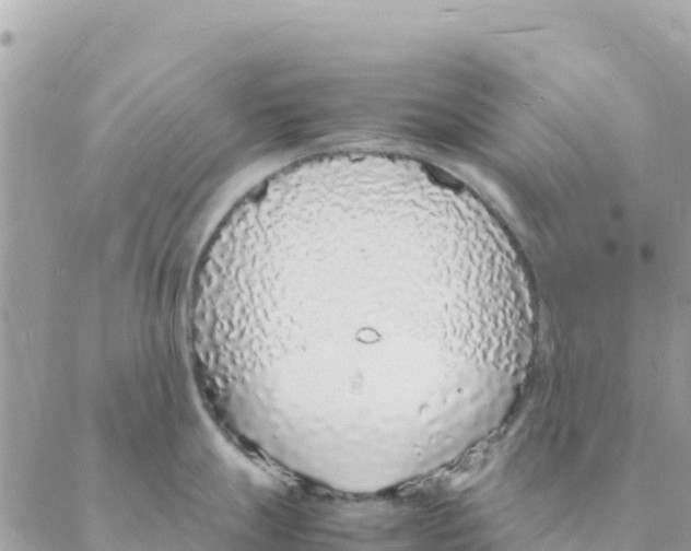 X0000088071247200706011506