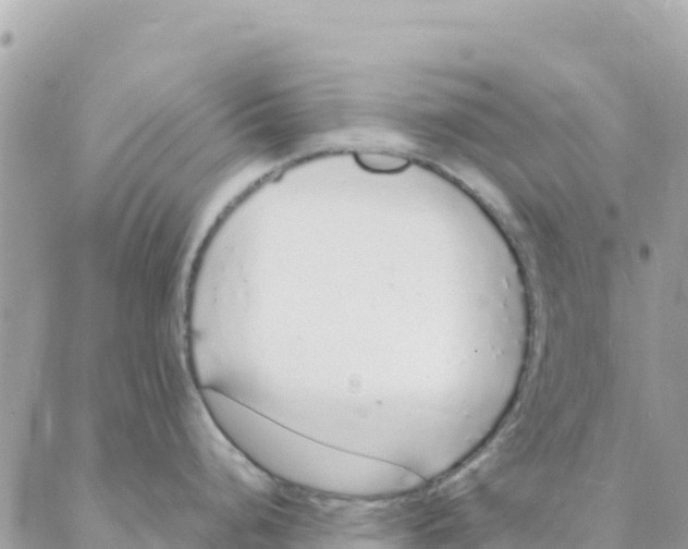 X0000088071248200706011506