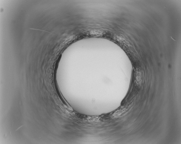 X0000088071249200706011505