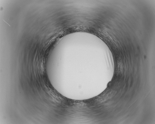 X0000088071250200706011505