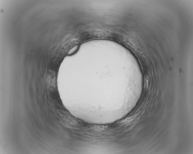 X0000088071251200706011505