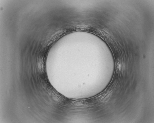 X0000088071252200706011505