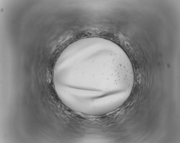 X0000088071253200706011505