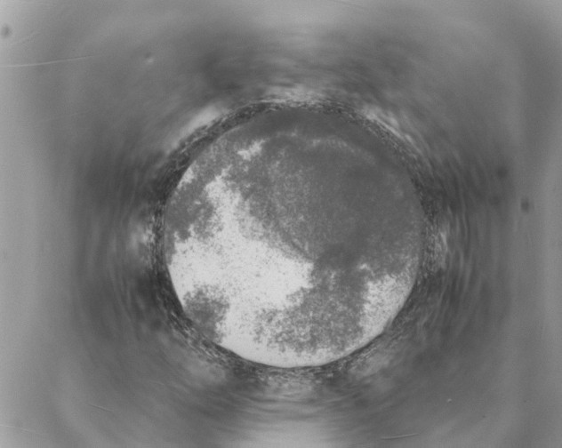 X0000088071254200706011505