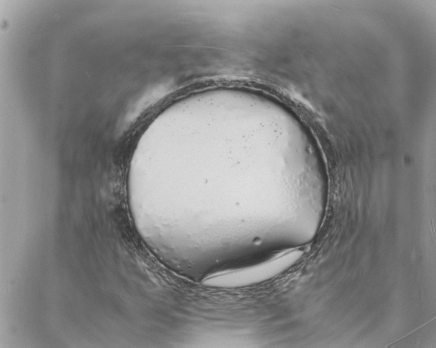 X0000088071255200706011505