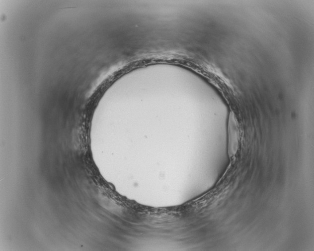 X0000088071256200706011505