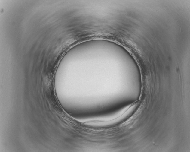 X0000088071257200706011505