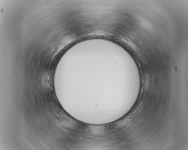 X0000088071258200706011505