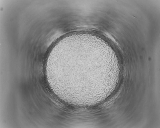 X0000088071259200706011505