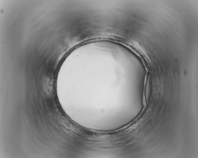 X0000088071260200706011505