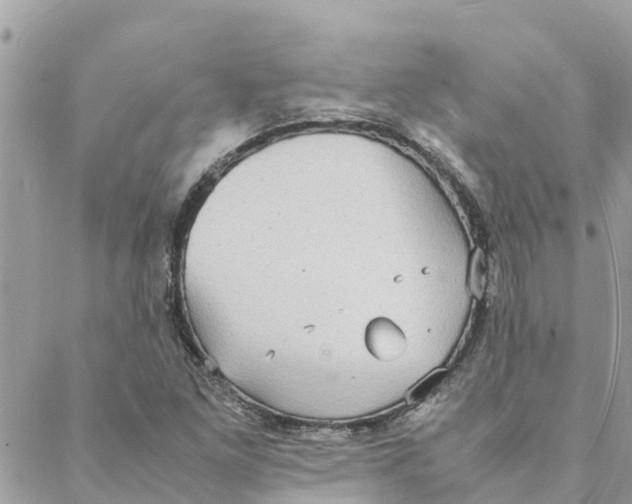 X0000088071261200706011505