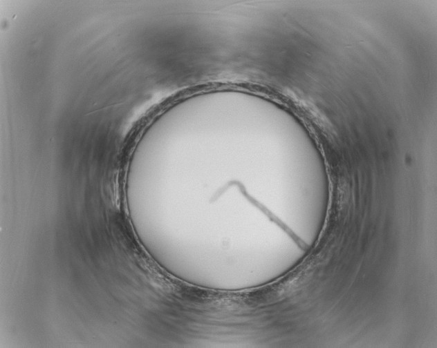 X0000088071262200706011505